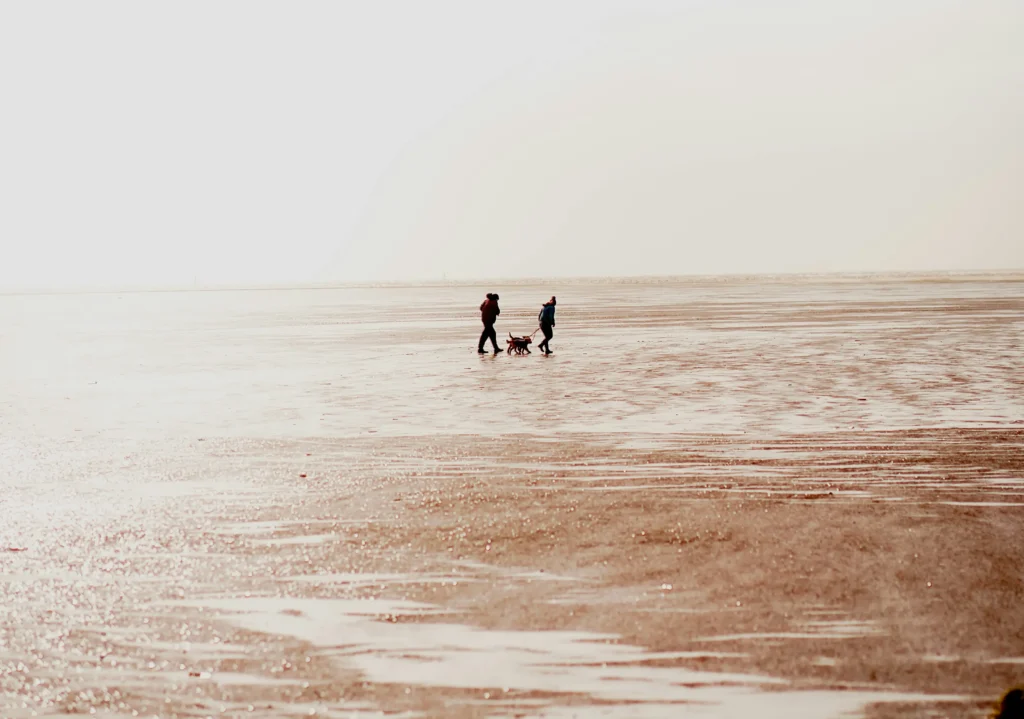 Familie bei einer Wattwanderung im Wattenmeer
